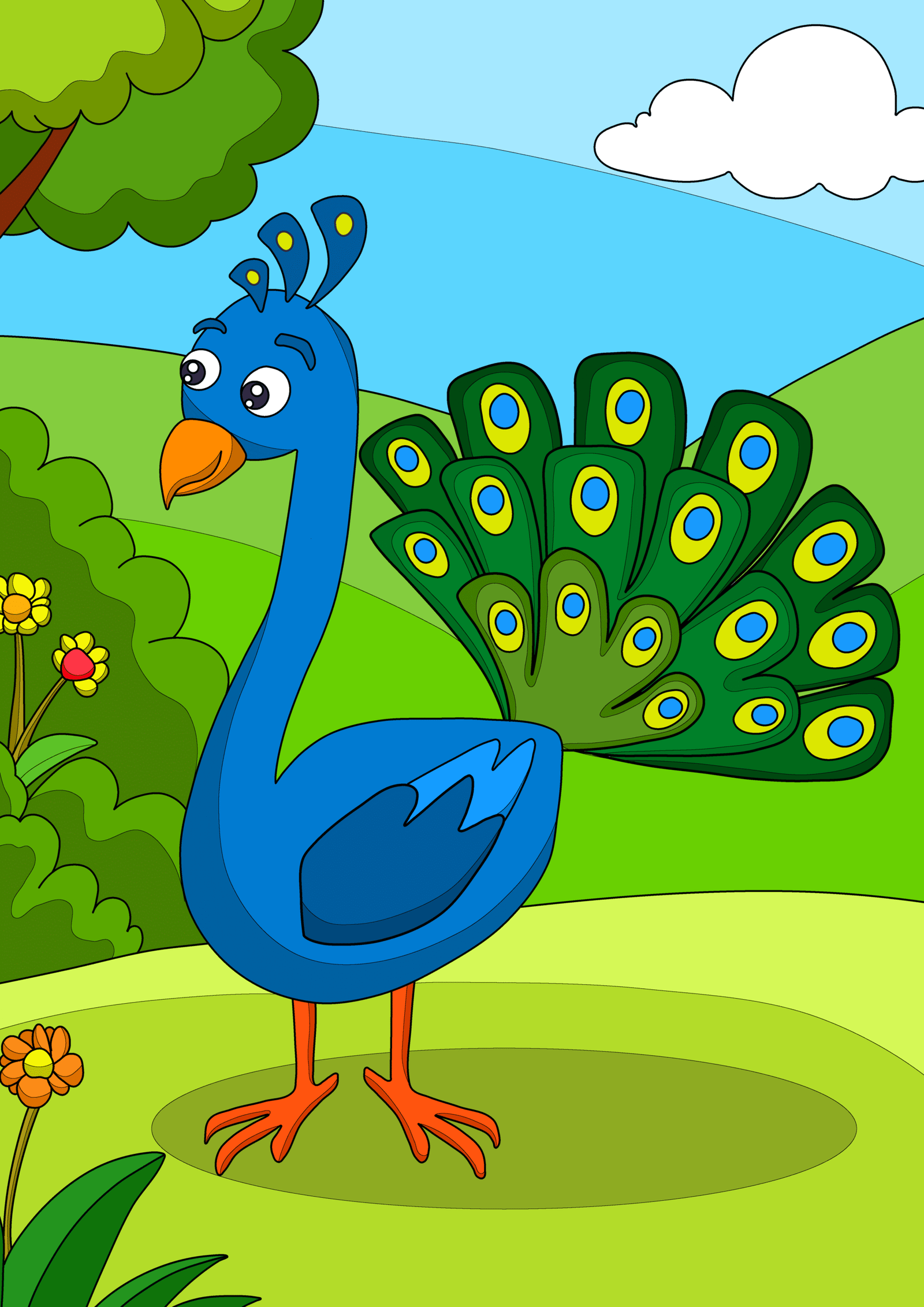 ​The Proud Peacock