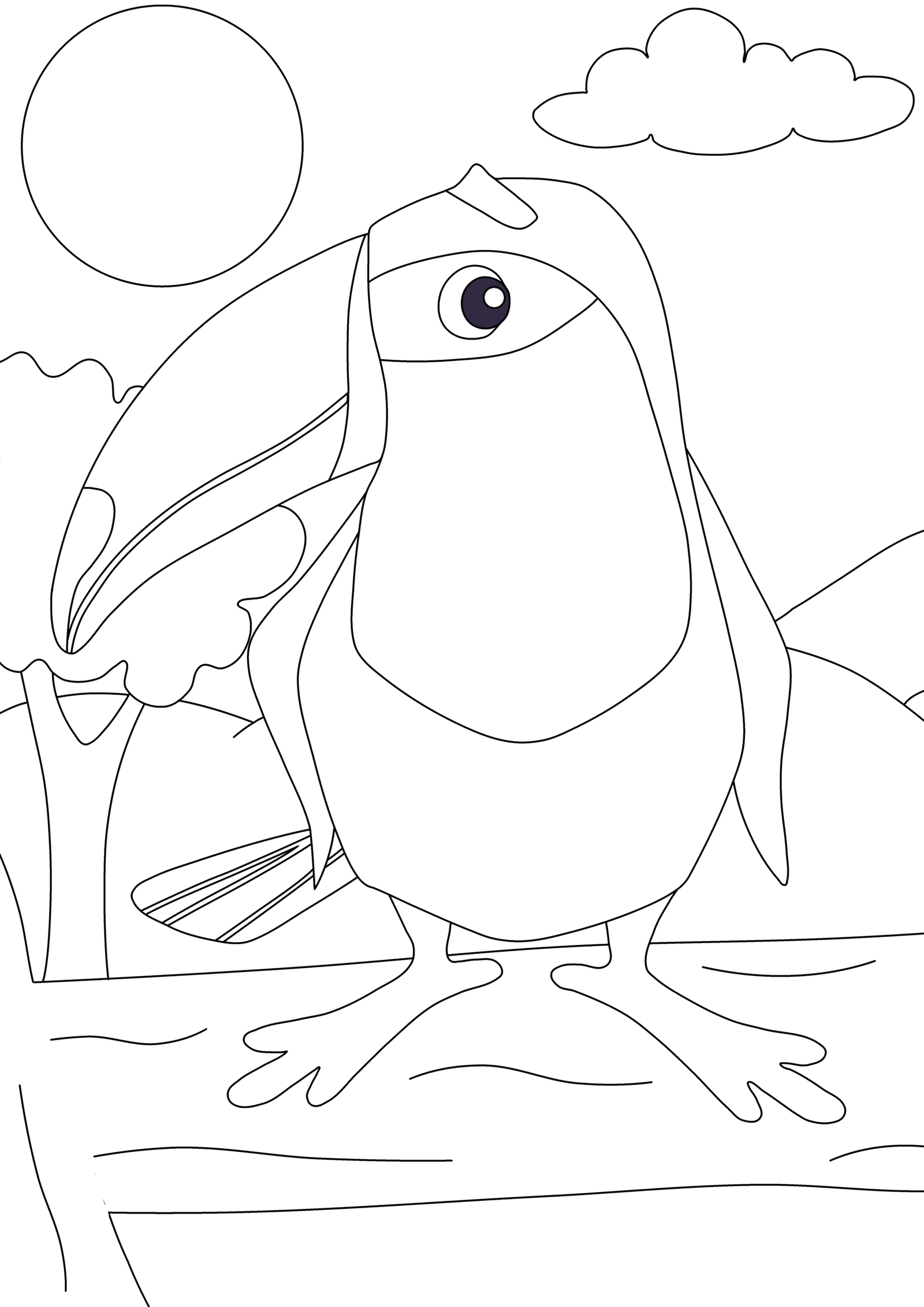 Tucan